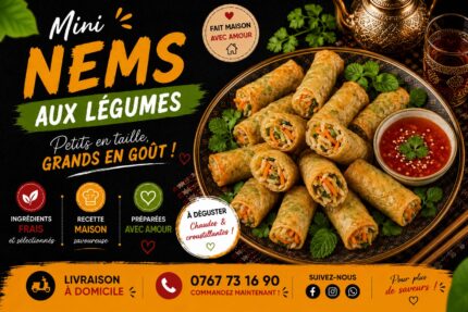 NEMS AUX LÉGUMES (10pièces)