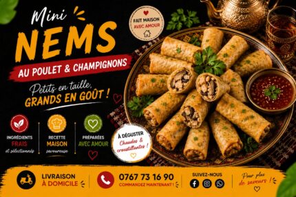 NEMS POULET CHAMPIGNONS (10 pièces)