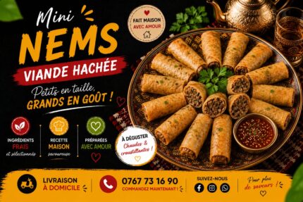 NEMS VIANDE HACHÉE (10 pièces)